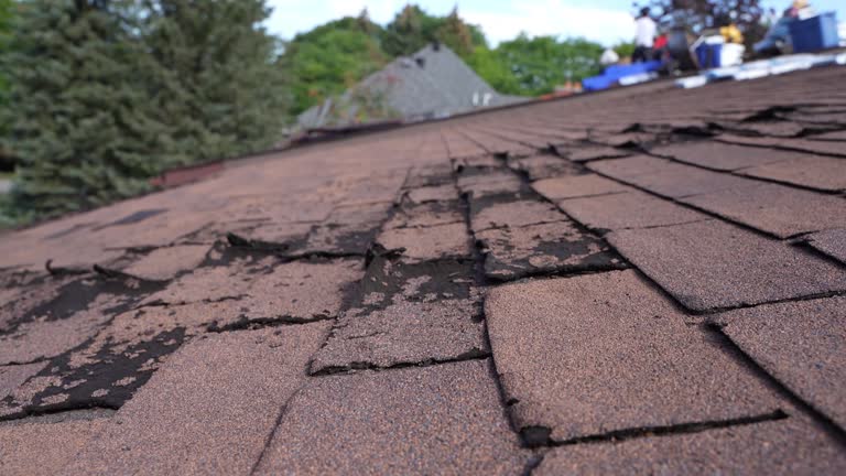 Best Roof Coating and Sealing  in Decatur, IL