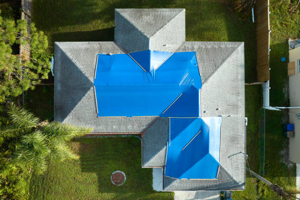 Best Skylight Installation and Repair  in Decatur, IL