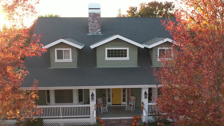 Best Skylight Installation and Repair  in Decatur, IL