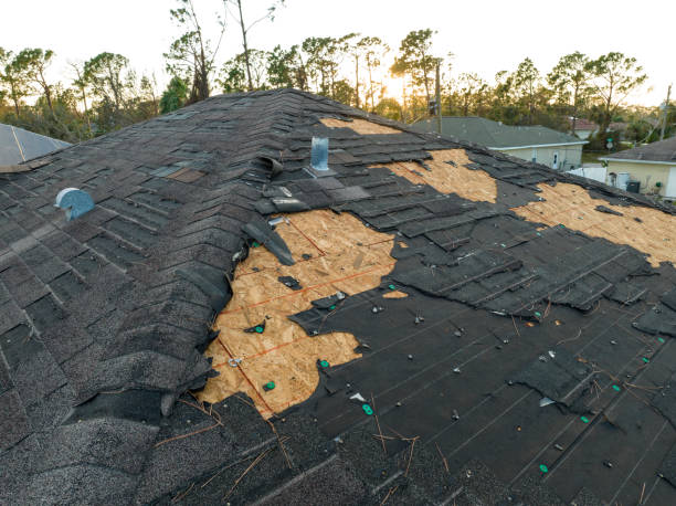 Best Rubber Roofing (EPDM, TPO)  in Decatur, IL