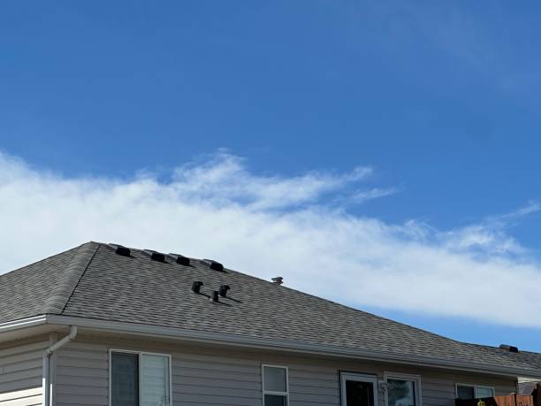 Best Cold Roofs  in Decatur, IL