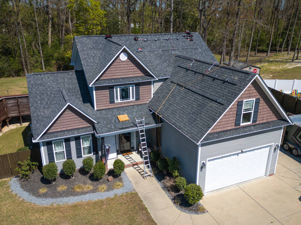 Best Roof Moss and Algae Removal  in Decatur, IL